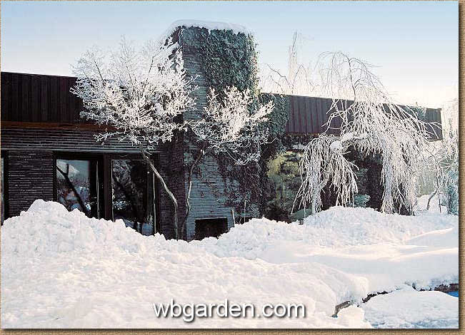 wbgarden snow